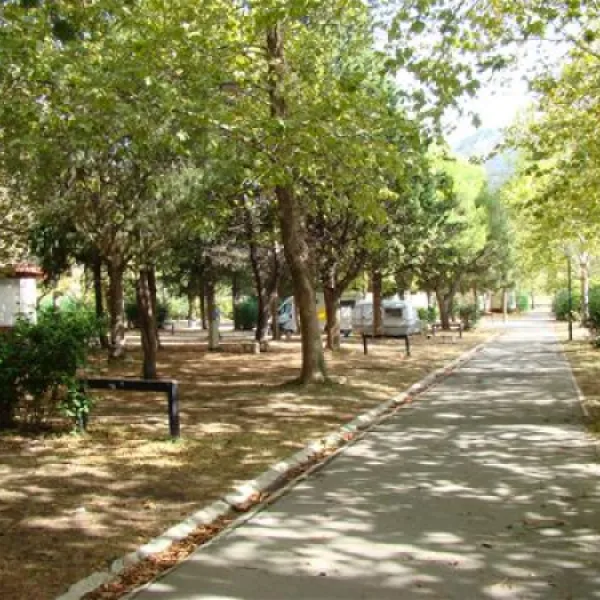 camping-kupari-mlini-3pt1r