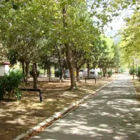 camping-kupari-mlini-3pt1r