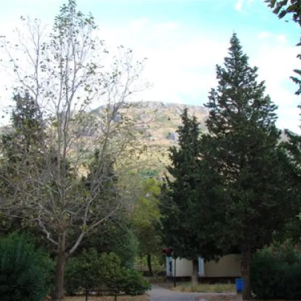 camping-kupari-mlini-42lnk