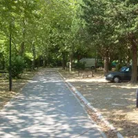 camping-kupari-mlini-o7nec