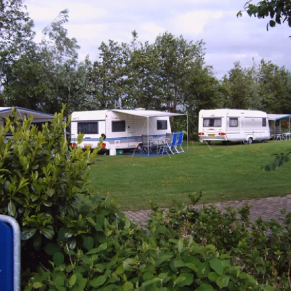 minicamping-wilgenweide-molenschot-xvegs