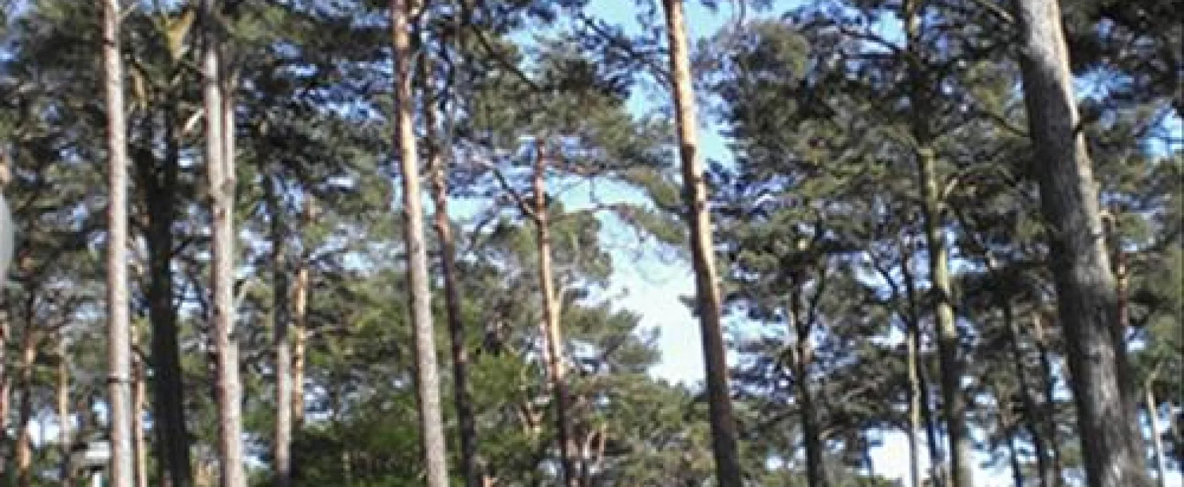 Camping Pommernland