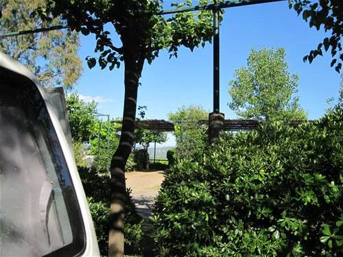 campsite-alphios-olympia-bxwxs