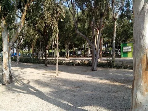 camping-torrenostra-torreblanca-3ja7y