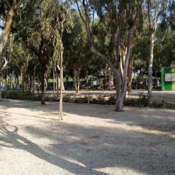 camping-torrenostra-torreblanca-3ja7y