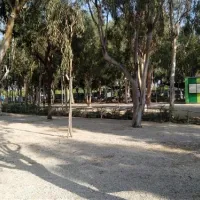 camping-torrenostra-torreblanca-3ja7y