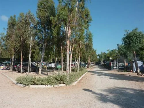 camping-torrenostra-torreblanca-fwdqa