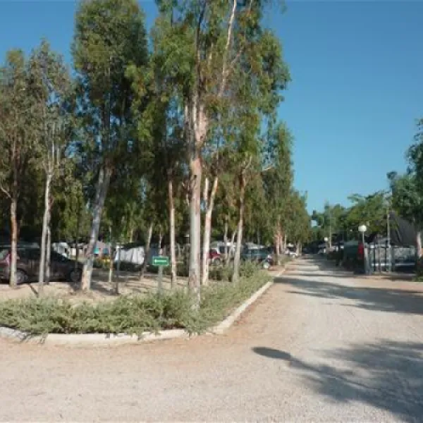 camping-torrenostra-torreblanca-fwdqa