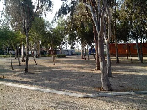 camping-torrenostra-torreblanca-gzlfh