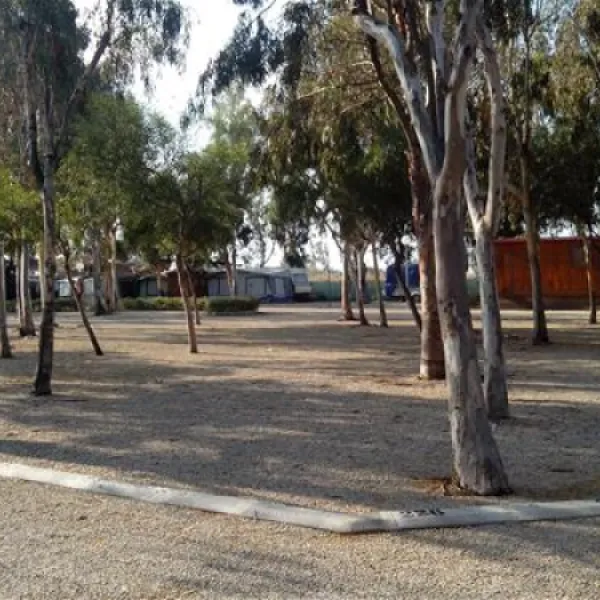 camping-torrenostra-torreblanca-gzlfh