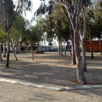 camping-torrenostra-torreblanca-gzlfh