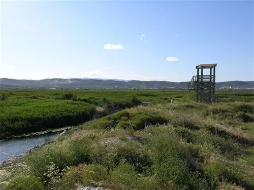 camping-torrenostra-torreblanca-lt5m4