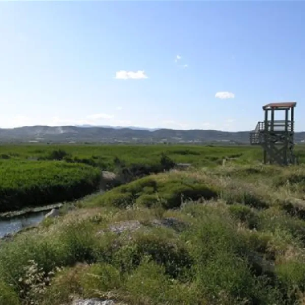 camping-torrenostra-torreblanca-lt5m4