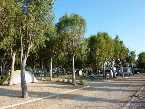 camping-torrenostra-torreblanca-sitky