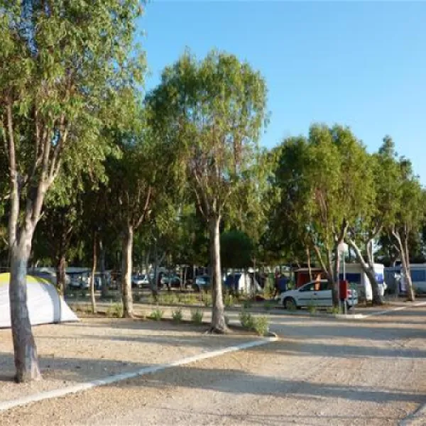 camping-torrenostra-torreblanca-sitky