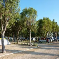camping-torrenostra-torreblanca-sitky