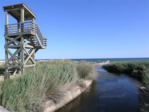 camping-torrenostra-torreblanca-zedzm