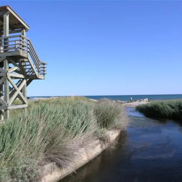 camping-torrenostra-torreblanca-zedzm