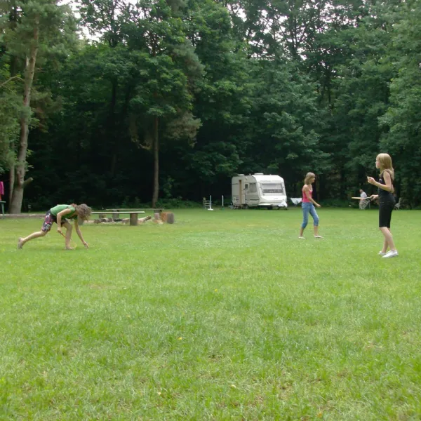 natuurkampeerterrein-landgoed-het-jagershuis-wehl-gdpgs