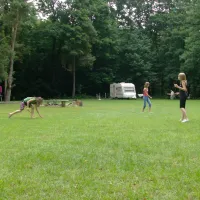 natuurkampeerterrein-landgoed-het-jagershuis-wehl-gdpgs
