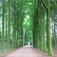 natuurkampeerterrein-landgoed-het-jagershuis-wehl-lswiw