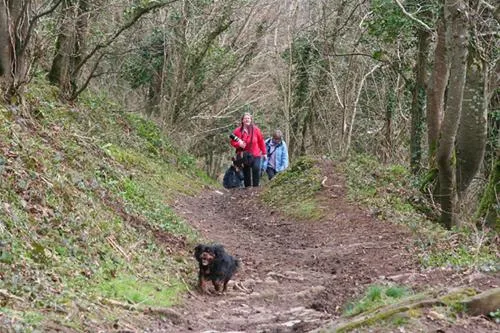 polruan-holidays-fowey-c9cim