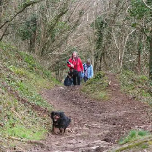 polruan-holidays-fowey-c9cim