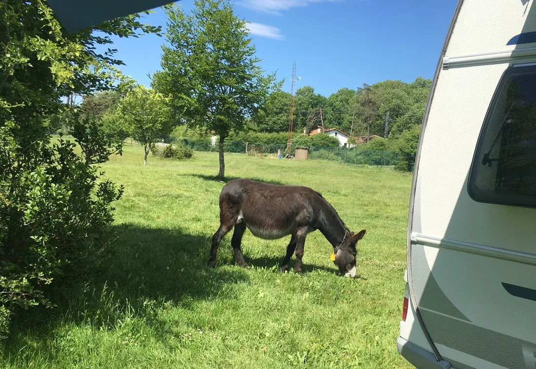 camping-urbasa-navarra-lfotq