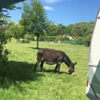 camping-urbasa-navarra-lfotq