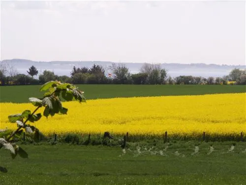 ostseecamping-familie-heide-kleinwaabs-ogpf7