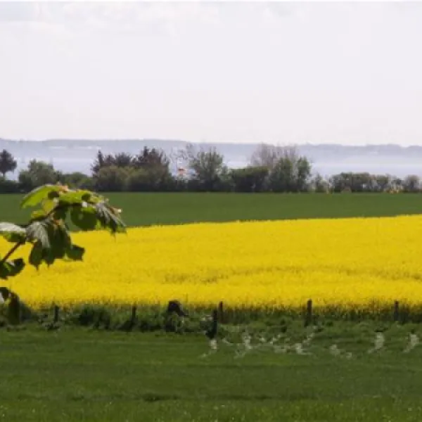 ostseecamping-familie-heide-kleinwaabs-ogpf7