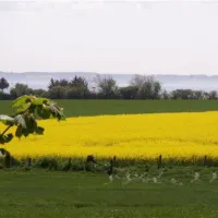 ostseecamping-familie-heide-kleinwaabs-ogpf7