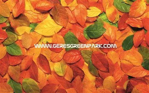 geresgreenpark-montalegre-hitvv