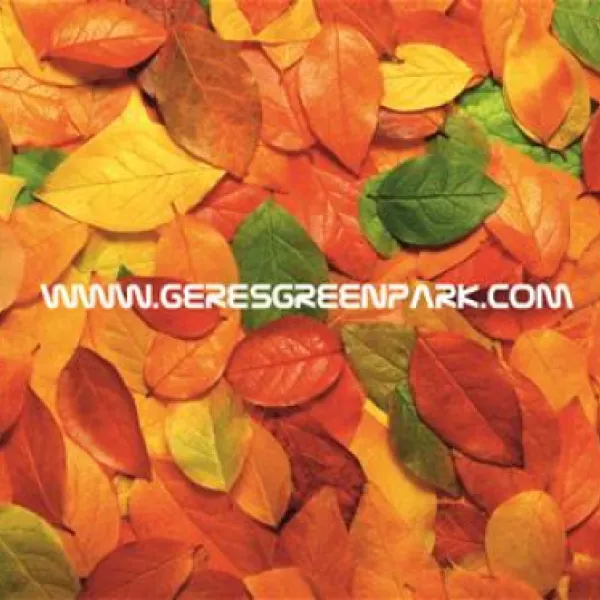 geresgreenpark-montalegre-hitvv