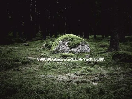 geresgreenpark-montalegre-slq0u