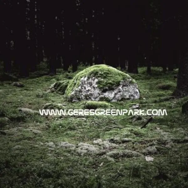 geresgreenpark-montalegre-slq0u
