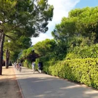 campeggio-serenella-bardolino-lxloy