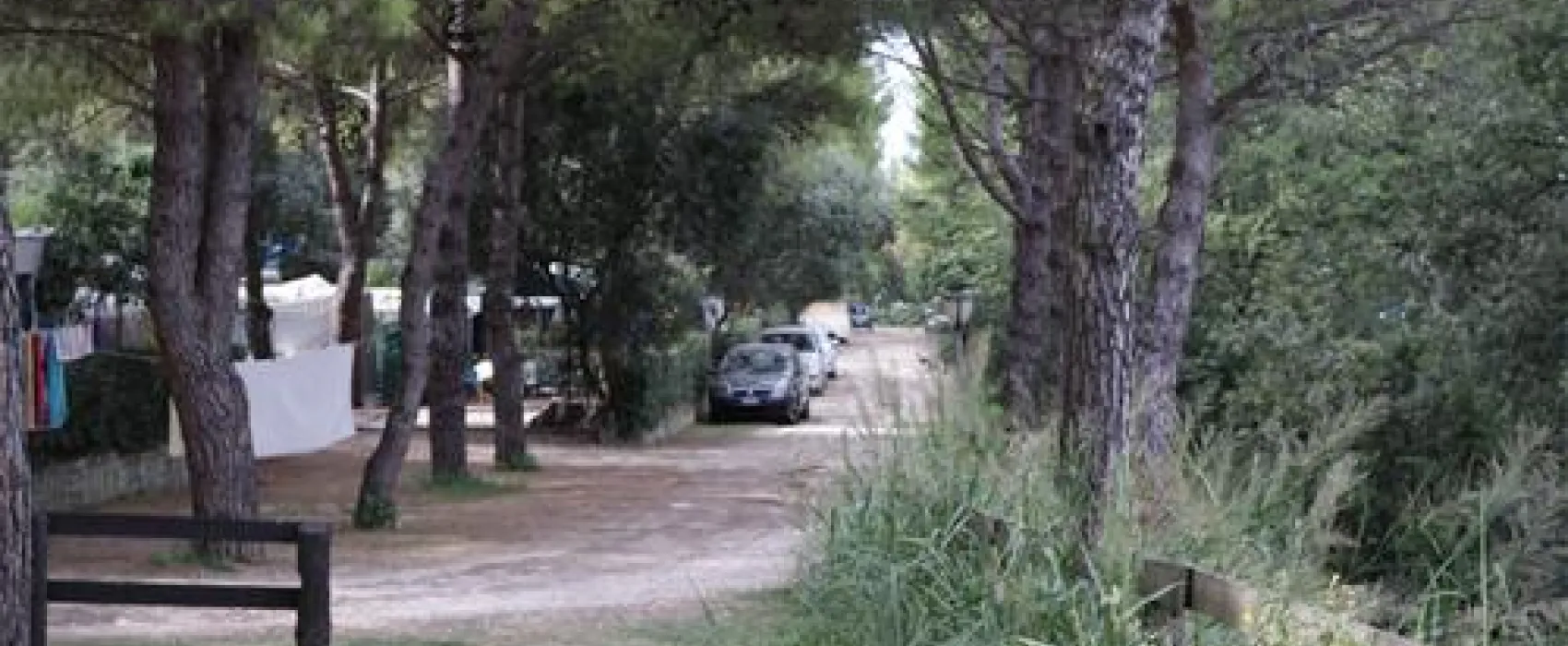 Camping Belvedere