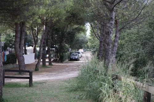 camping-belvedere-civitanova-marche-clksk