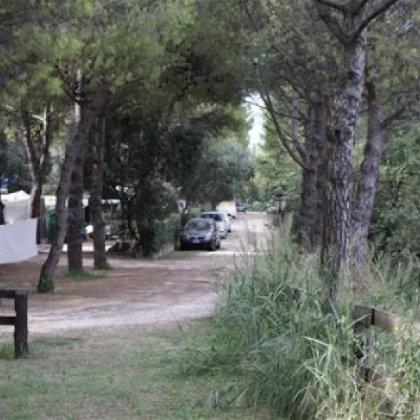 camping-belvedere-civitanova-marche-clksk