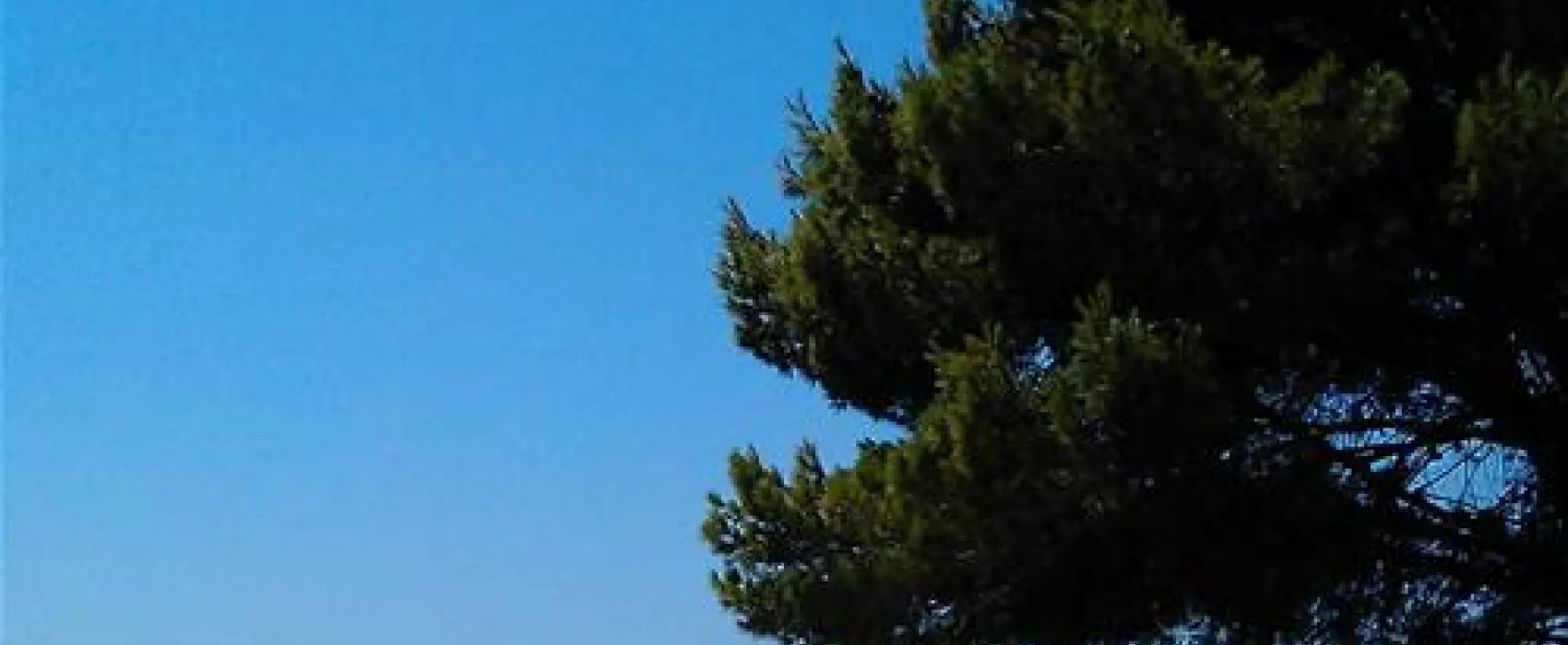 Camping Aloa