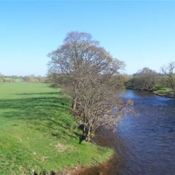 low-moor-caravan-camping-park-penrithcumbria-qhyup