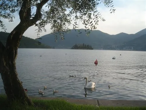 campeggio-riva-di-san-pietro-marone-lhcuv