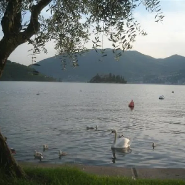 campeggio-riva-di-san-pietro-marone-lhcuv