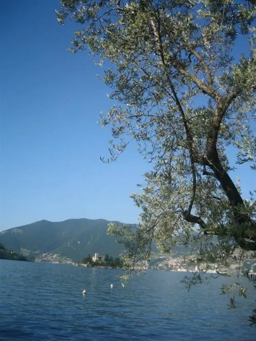 campeggio-riva-di-san-pietro-marone-pcxxg
