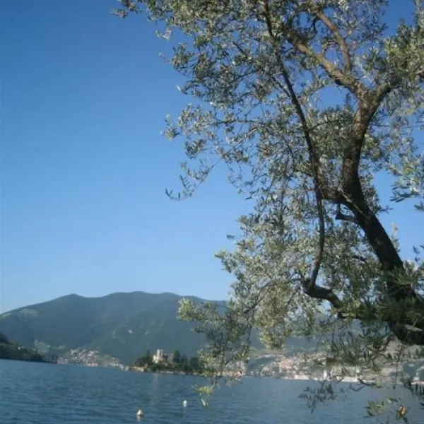 campeggio-riva-di-san-pietro-marone-pcxxg