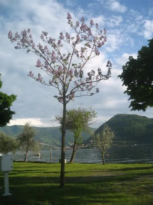 campeggio-riva-di-san-pietro-marone-phupn