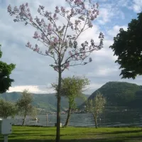 campeggio-riva-di-san-pietro-marone-phupn
