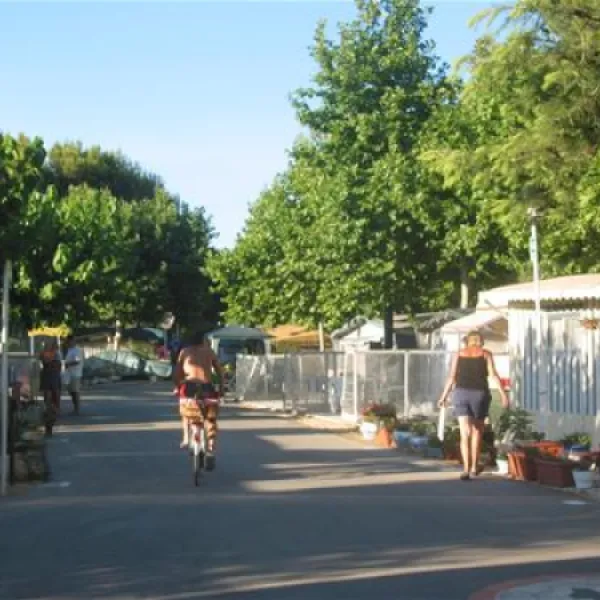 camping-arena-blanca-benidorm-adaqg