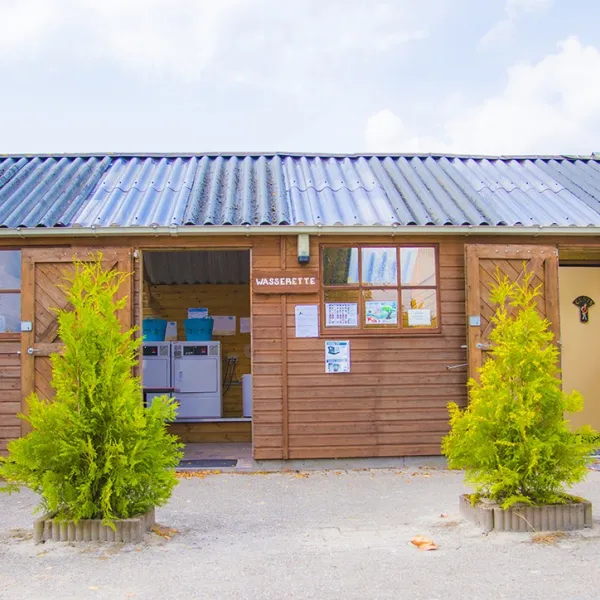 camping-hoeve-aan-den-weg-oude-willem-8sicz